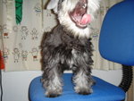 wa..wawa!! �Y���n��?!