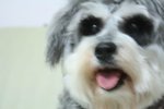 �ڭn����