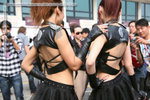 pledge_MOCHA_10835
