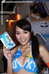 pledge_itech_8532