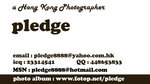 Name Card B