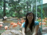PICT6838