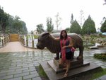 DSCN0884