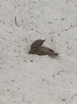 
IMG_1351