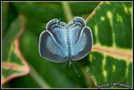 CRW_6971