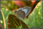 CRW_6973