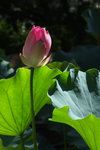 DSCF1680