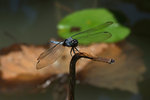 DSCF1693