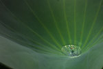DSCF1707