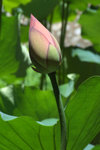 DSCF1725