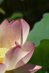 DSCF1736