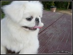 DSCN0480