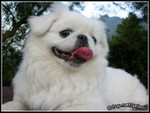 DSCN0486