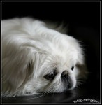 IMG_4473