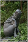 IMG_7161