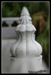 IMG_5531