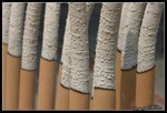 IMG_5535