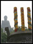 IMG_5551