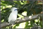IMG_6012