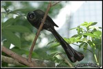 IMG_6015