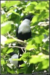 IMG_6023