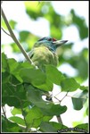 IMG_6028