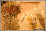 �ۦW��Fruit tart�A�W�L���