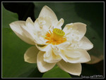 DSCN0112