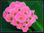 DSCN0516