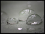 DSCN4866