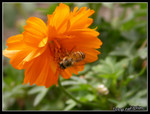 DSCN9374