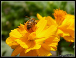 DSCN9414