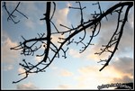 IMG_3396