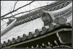 IMG_3577