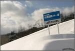 IMG_3717