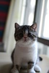 DSC_0441