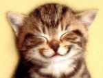 Catwp113