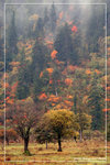 DSC_7024btint