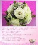 wedding blog 003