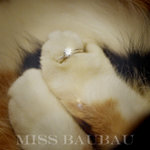 miss baubau
