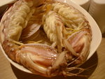 DSC07065