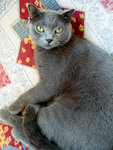 (lala)DSC08868