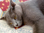 (lala)DSC08871