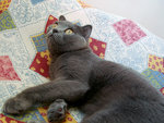 (lala)DSC08875