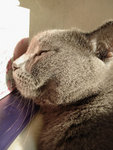 (lala)DSC08885