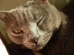 (lala)DSC08890