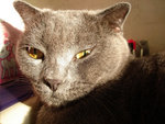 (lala)DSC08891
