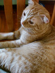 (tt)DSC08794