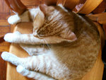 (tt)DSC08800