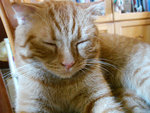 (tt)DSC08806